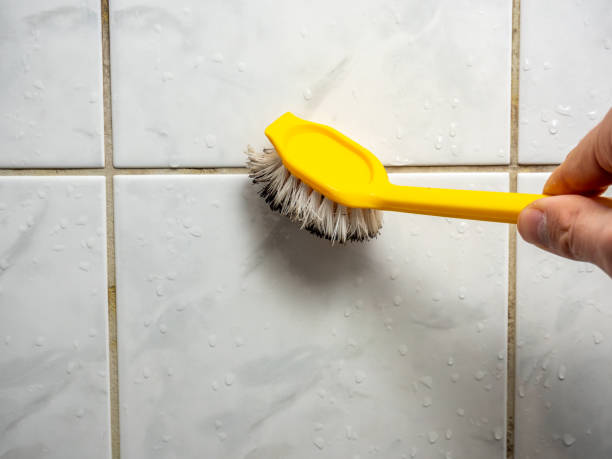 Best Commercial Mold Removal  in Norton, KS