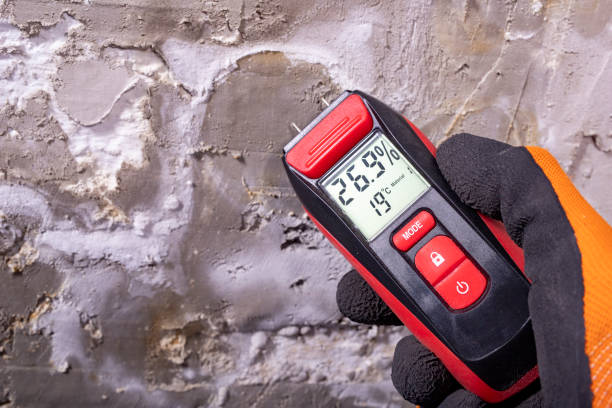 Home Mold Removal in Norton, KS