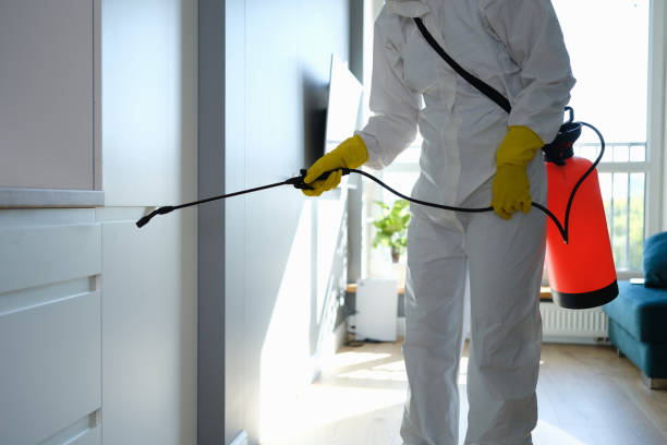 Best Crawl Space Mold Removal  in Norton, KS