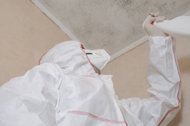 Best Office Mold Removal Services  in Norton, KS